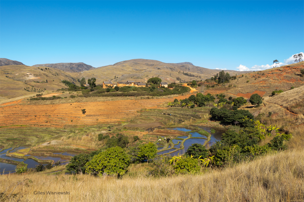 village dans la brousse à Madagascar