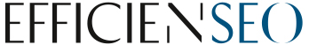 Logo Efficienseo