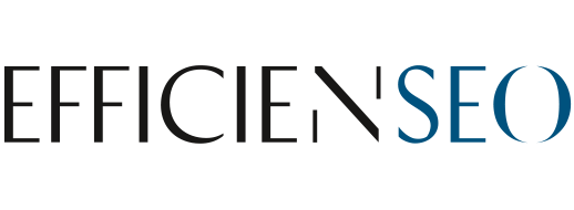 Logo Efficienseon référencement naturel
